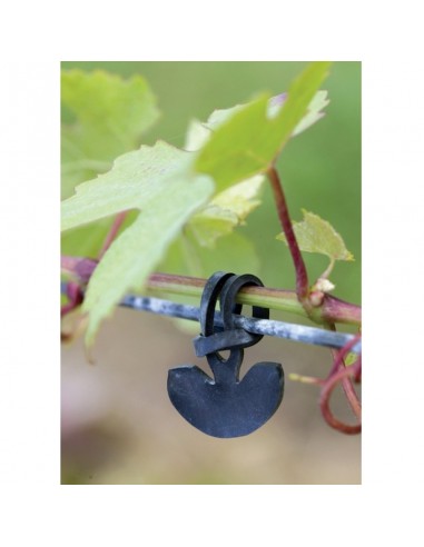 Fixation caoutchouc souple pour vigne *50