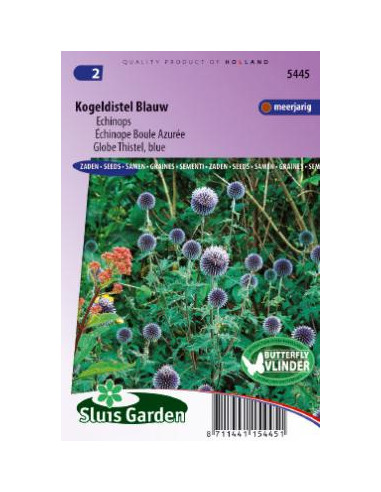 Semences Boule azurée - Echinops blue globe